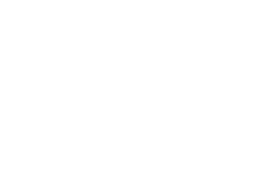 logo da empresa medleve